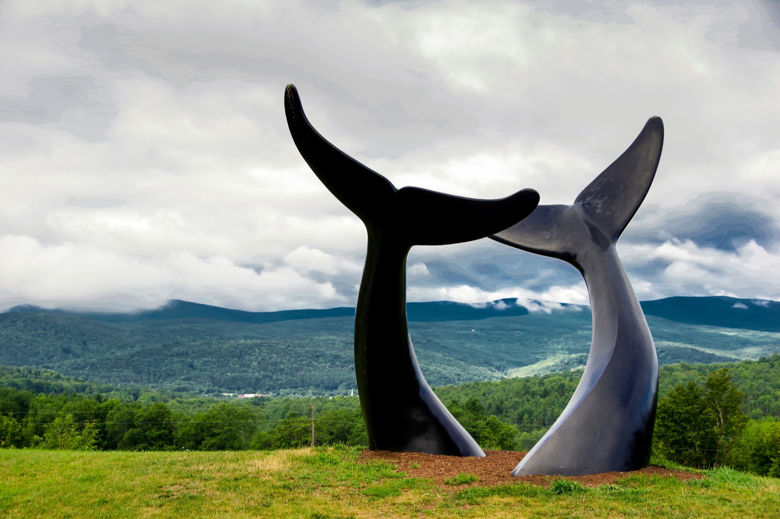 Two Whale Tails sculptures in a grassy field with Vermont mountains and clouds behind them